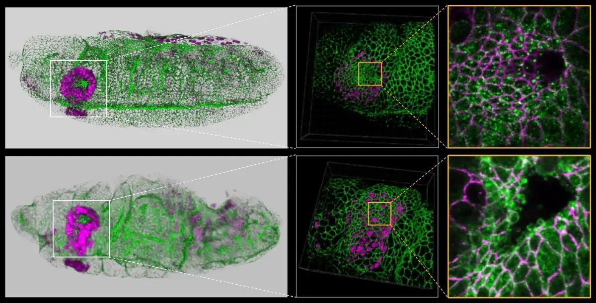 Huygens Image Contest 6th Prize Winner Huygens Image Contest 6th Prize Winner
