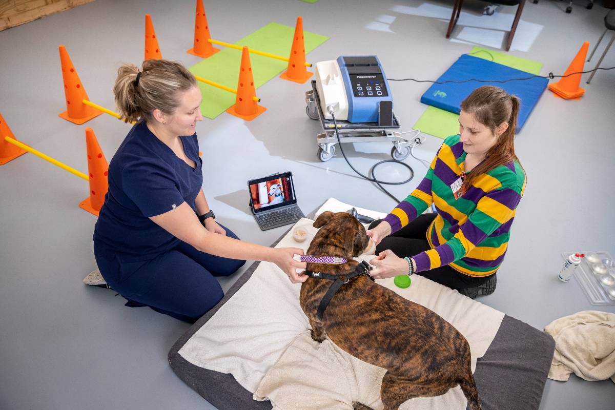 Stephenson Pet Clinic 