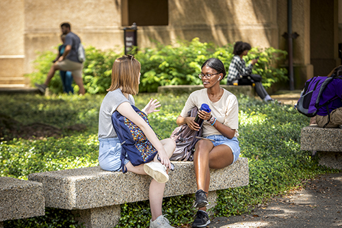 First Day Fall First Day