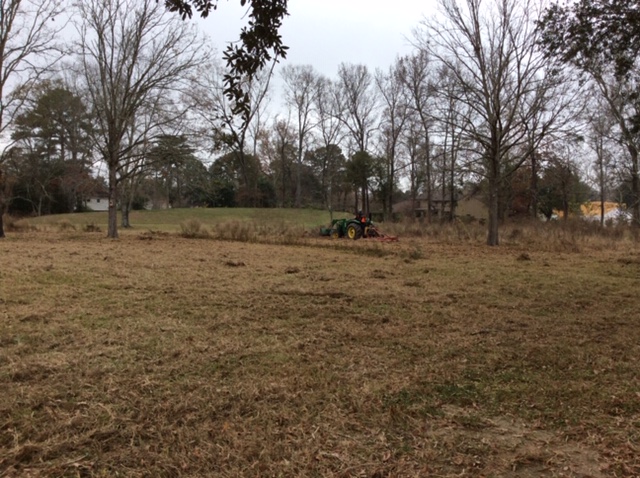 bush-hogging meadow