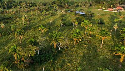 Image of Bolivian Rain Forest with accomodation buildings in the upper right corner.