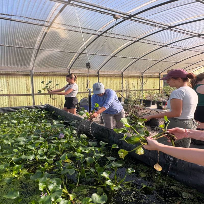 A picture of students from the the Society of Wetland Scientists.