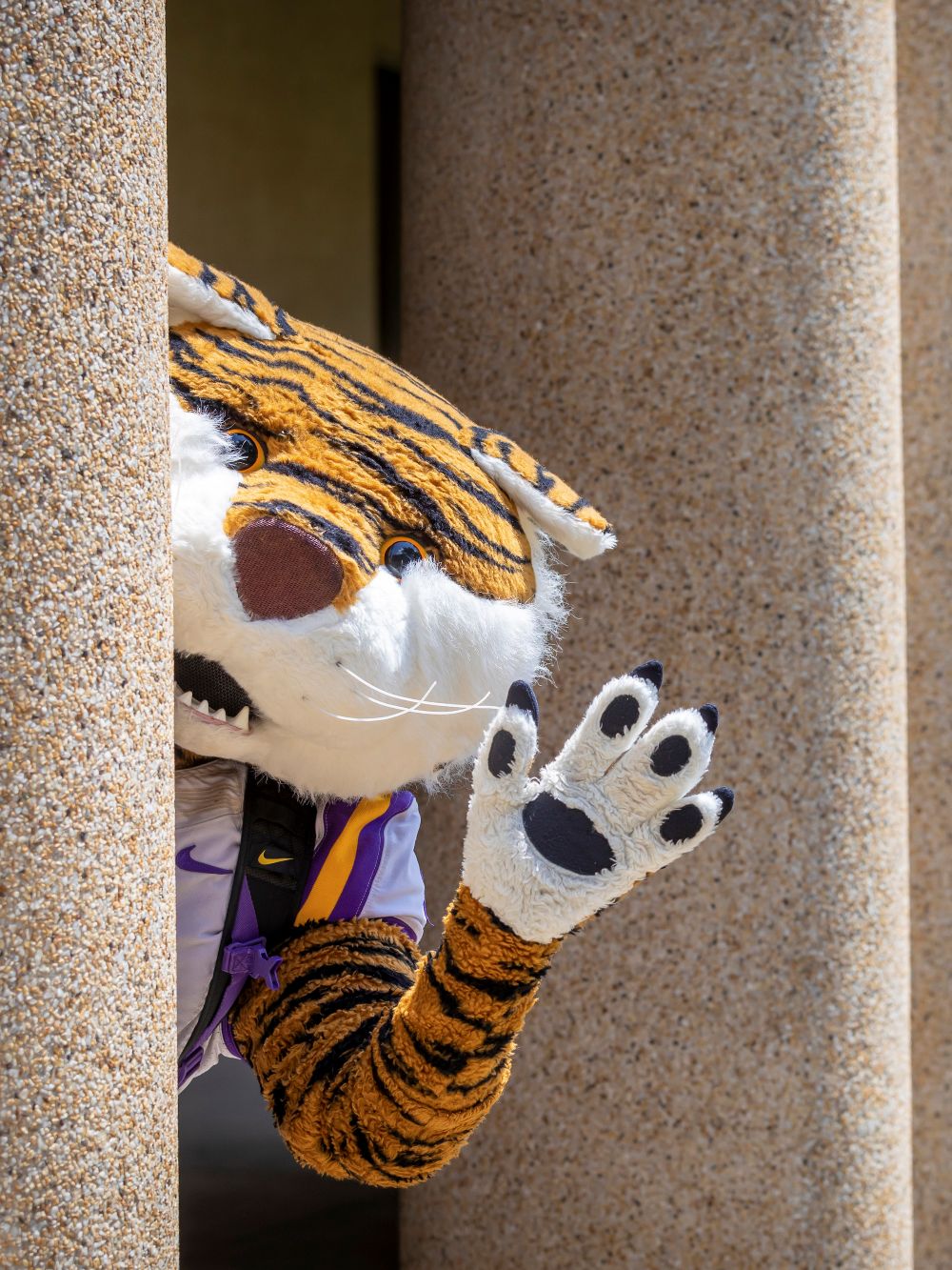 Mike the Tiger on Campus